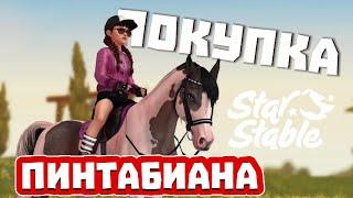 Покупка пинтабиана 3-го поколения!||она лучше чем араб?!||Star Stable Online