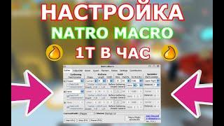 "Natro Macro" Настройка Макроса в Bee Swarm Simulator