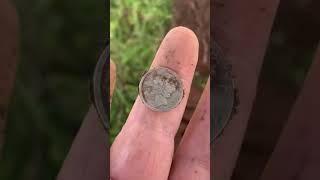 I found a 100 year old Silver Dime  metal detecting #metaldetecting #minelab #digging #detector