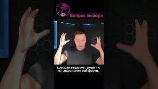 Тела выбора | Клименко | Степаненко #степаненко #glorium #выбор #психология #gloriumtv #сознание