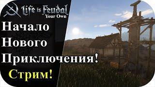 Начинаю все с начало после вайпа! |LIfe is feudal: YOUR OWN #85