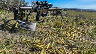 BURNING BARRELS!! | Montana Prairie Dog Hunt with SIG SAUER | Hunt Weekly