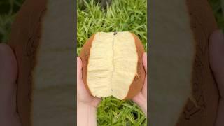 Japanese Cheesecake #たもグルメ #japanesefood