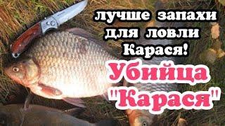 Какие запахи любит карась в сентябре: на что ведётся рыба осенью.