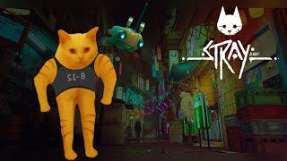 Что по поводу STRAY?