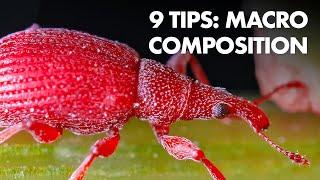 My 9 Best Composition Tips for Macro Photography