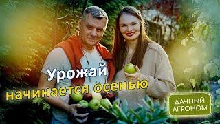 ОСЕНЬЮ Одна ложка под куст Две под дерево и Сад будет ломиться от урожая!