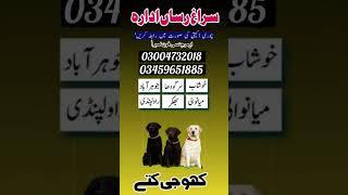 army dog centre trace out service all Pakistan ma mojod ha