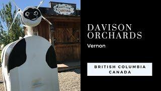 Davison Orchards - Best Family Things To Do In Vernon BC