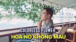 HOA NỞ KHÔNG MÀU (COLORLESS FLOWER) - COVER TIẾNG ANH