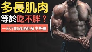 又被打臉！增加一公斤肌肉可以多消耗多少熱量？