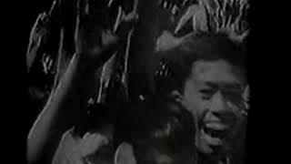中越边境战争纪实（上）