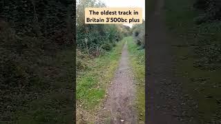 Oldest track in Britain #uk #shorts #history #historyfacts #walk #walkthrough #fyp #funfacts#explore