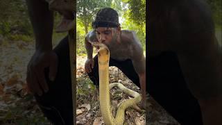 Satisfying Snake Shed