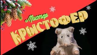 Mr. Rattofer. Adventures of the brave rat from Ikea on New Year's Eve | New Year stories