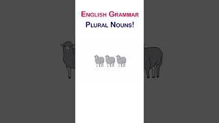 Singular and Plural Nouns Exceptions | Basic English Grammar Explained #english  #anglais #英語