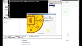 Install Elicoin wallet with fast_elicoin