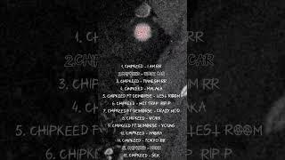 ChipKeed - NaRR 25.07