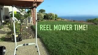 Preparing Tall Fescue Lawn for Reel Low Mow