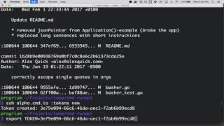 Shell Commands over HTTP with Cmd.io Run API