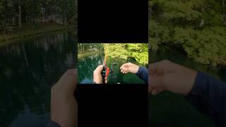 Father’s Day frog fishing blowups! #topwater #frogfishing