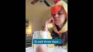 MRS. B TV: Naked Egg Experiment!