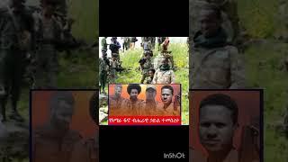 አማራ ፋኖ#shortsvideos #shortsvideos #ethiopianews #ethiopiannews #አማራ_ፋኖ #addisababaethiopia #addisaba