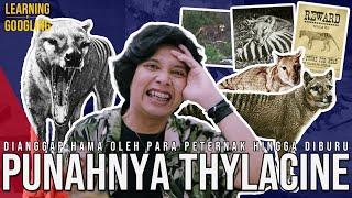 Punah Karena Lupa Dimasukin Kandang & Dibuang Ke Tempat Sampah? Thylacine |Learning By Googling #130