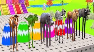 Long Slide Game With Elephant Gorilla Buffalo Hippopotamus Tiger - 3d Animal Game - Funny 3d Animals