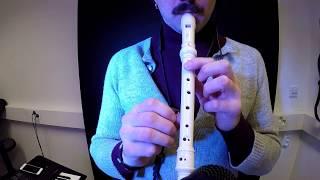 How to play Titanic on flute / recorder