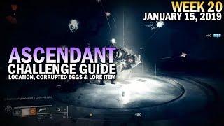 Ascendant Challenge Week 20 Guide - Corrupted Eggs, Lore Item Location & Solo Clear