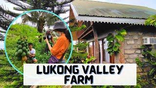 Lukong Valley Farm in Dolores, Quezon | Farm Tour with #ATICalabarzon