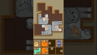 MAX LEVEL ACHIEVED! #shorts #catpuzzle #maxlevel #puzzlemaster