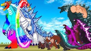 GODZILLA RADIATION RAINBOW VS KONG BABY TRANSFORMATION, DINOSAURS: Who Will Win? - GODZILLA CARTOON