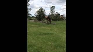 Honest cross country