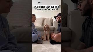 Mini Cockapoo Picks Who She Loves More Between Her Mom Dad and Sister 