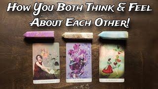  How You BOTH FEEL & THINK About Each Other?  Pick A Card Love Reading