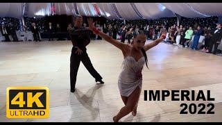 Damir Haluzan & Anna Haluzan | Jive | Professional Latin, Imperial Open 2022