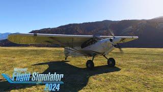 Idaho Backcountry Flying in Microsoft Flight Simulator 2024