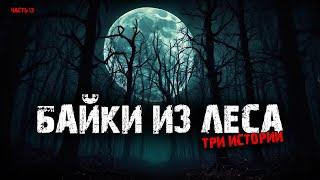 Байки из леса (3в1) Выпуск №13