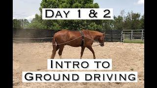 Day 1 and 2 Introducing Ground-Driving