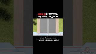 Никогда не пересекай эту линию на дороге #автошкола #пдд #классвождения #вождение