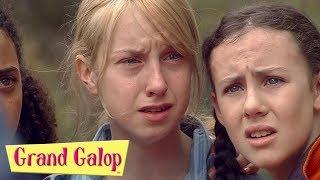 Grand Galop - Épisodes 5  à 8 | Compilation | Grand Galop Saison 2