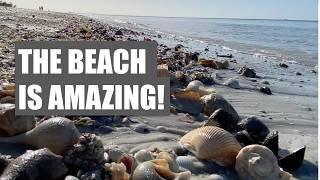 ​​Why is the beach awesome? I'll show you 41 reasons the beach is amazing!