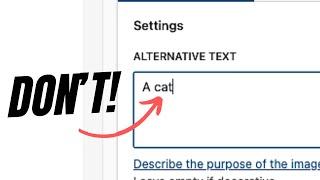 How to Write an Image Alt Text | Maximize Blog Views