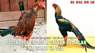 Talablarga binoan Dakan narxlari | (Turk+Kores) 2021 Jo`ja narxlari (@my_farm_uz )1-qism