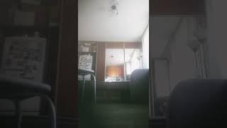 когда ты в хорор игре ты пугаешся и от страха ты включвеш рандомную анимацию