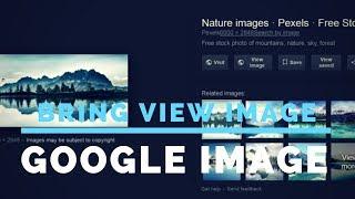 enable view image google image search