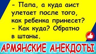 Самые смешные армянские анекдоты и шутки про армян - лучшее в 2021 - выпуск 1