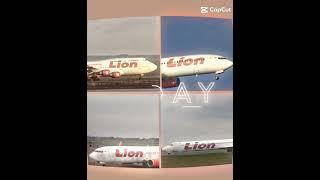 Editing my own plane (Lionn air)